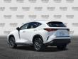 2024 LEXUS NX 350 SUV