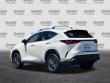 2025 LEXUS NX 350h Premium SUV