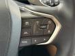 2024 LEXUS NX 250 250 Premium SUV