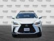 2025 LEXUS NX 350h 350h Premium SUV