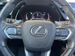 2023 LEXUS RX 350 Luxury SUV