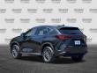 2024 LEXUS NX 250 SUV