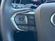 2025 LEXUS RX 350h Premium SUV