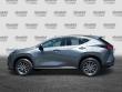 2024 LEXUS NX 350h 350h Premium SUV