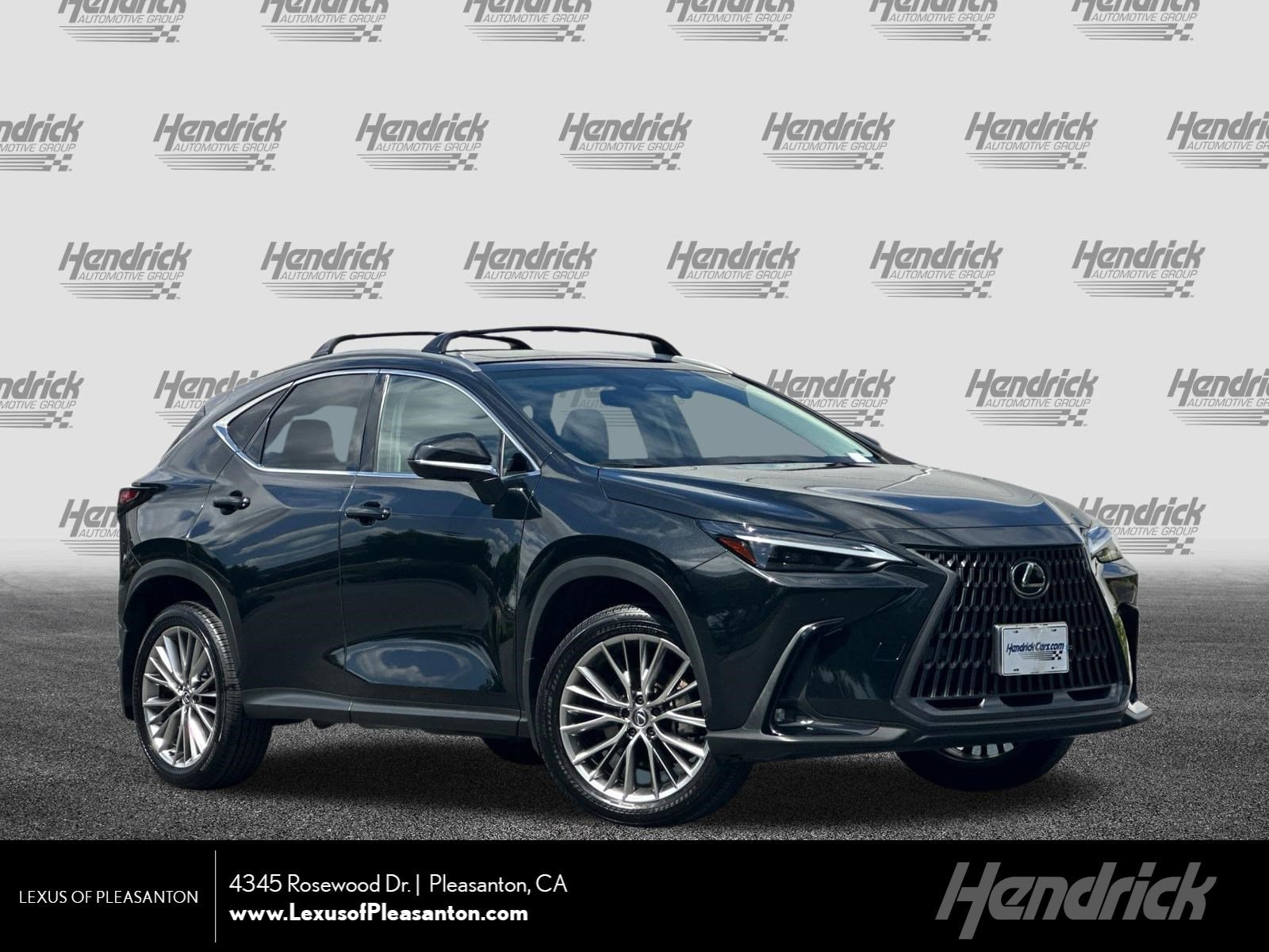 2024 Lexus NX 350h 350h Luxury AWD's photo