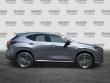 2024 LEXUS NX 250 SUV