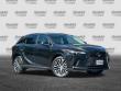2023 LEXUS RX 350 Premium Plus SUV