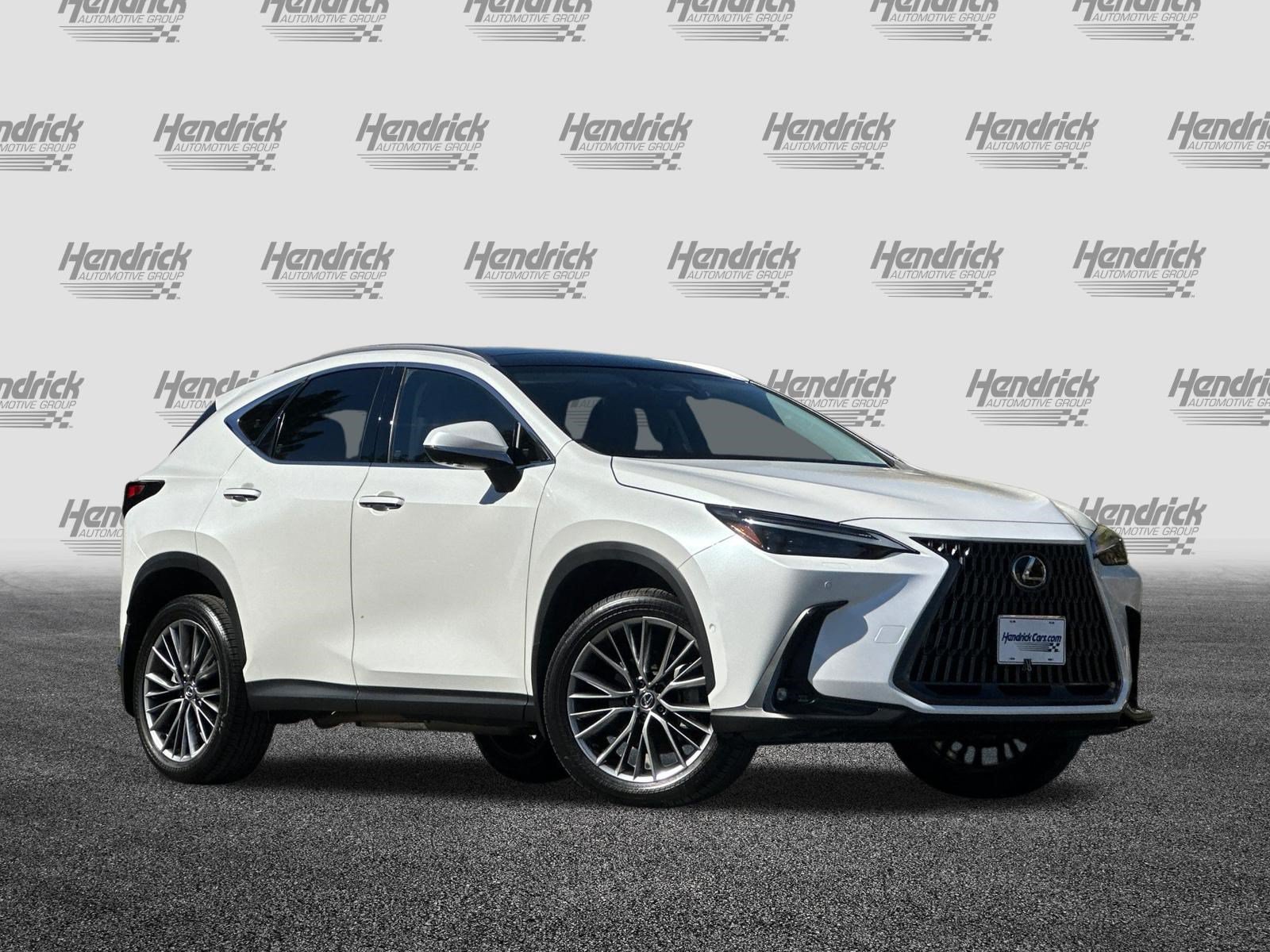 2024 LEXUS NX 350h 350h Luxury SUV