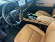 2024 LEXUS NX 250 SUV