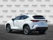 2025 LEXUS NX 350h 350h Premium SUV