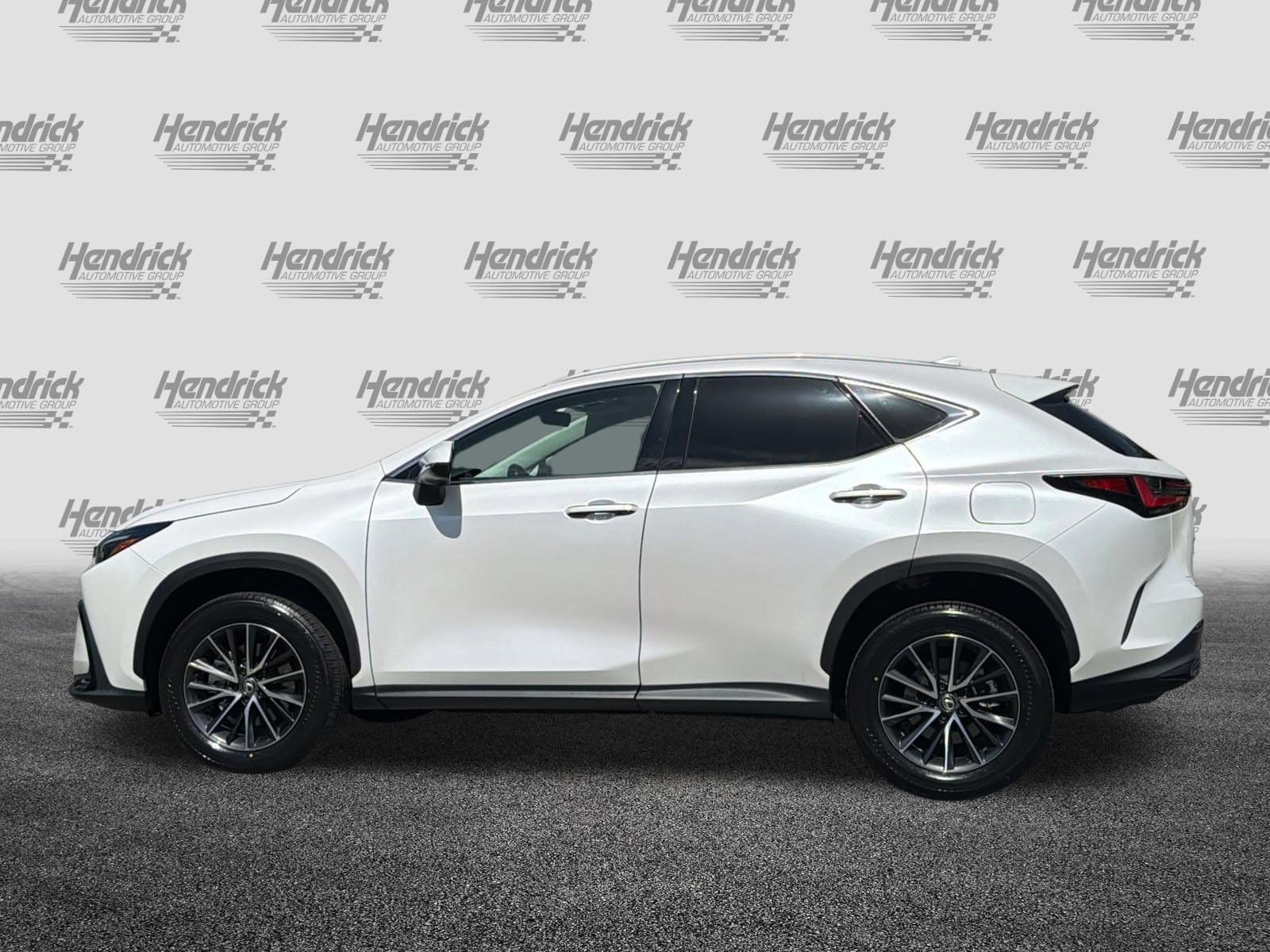 2024 LEXUS NX 350 photo 6