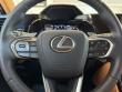 2024 LEXUS NX 250 SUV