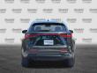 2024 LEXUS NX 250 SUV