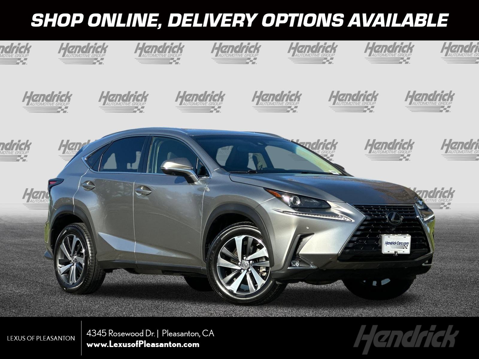 2019 Lexus NX 300's photo
