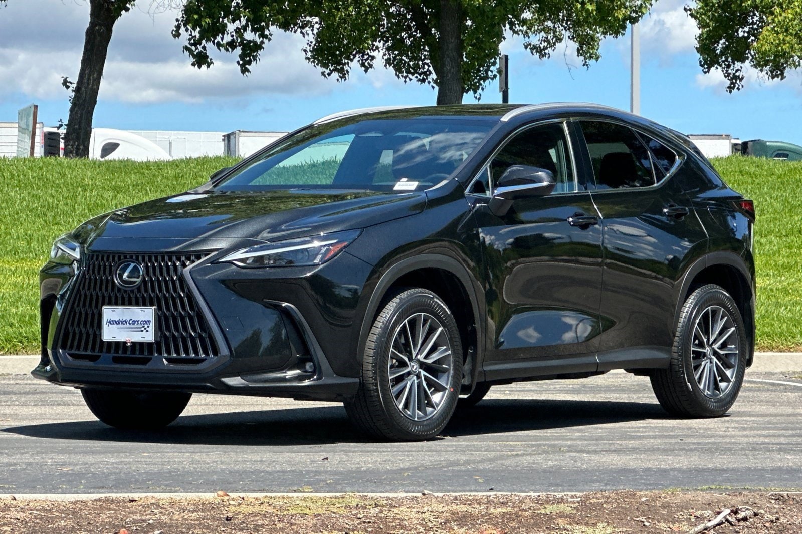 2022 LEXUS NX 350h photo 3