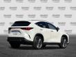 2024 LEXUS NX 350h 350h Luxury SUV