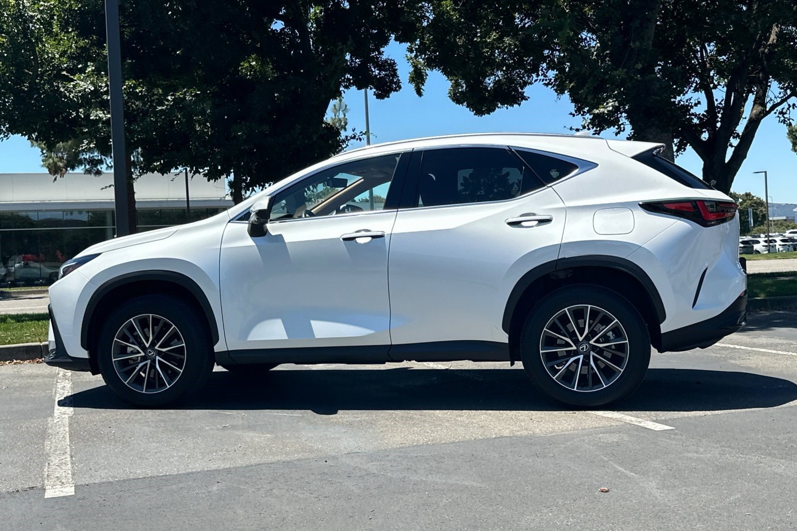LEXUS NX 350h Premium
