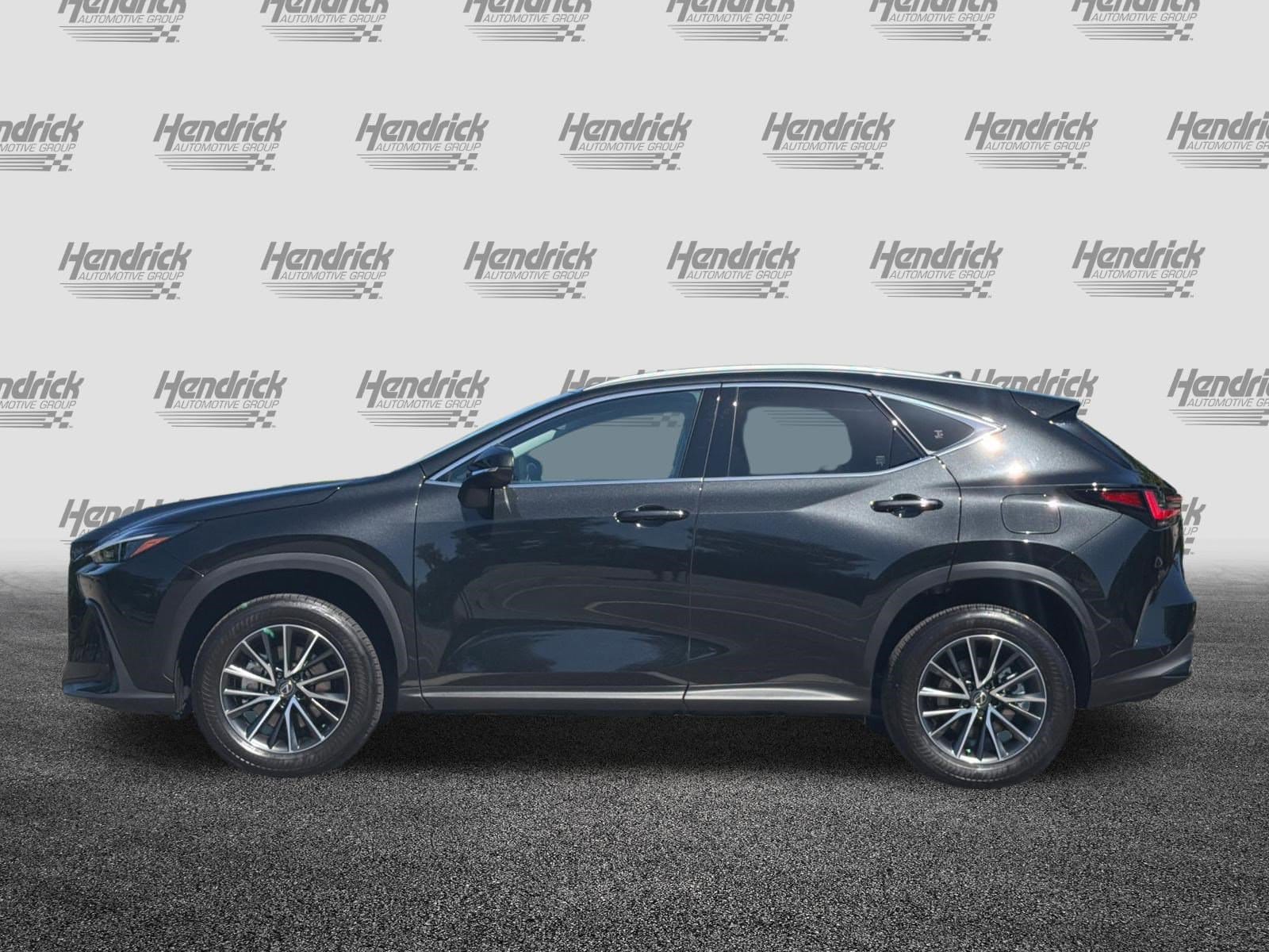 2024 LEXUS NX 350h 350h Premium photo 6