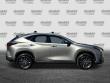 2026 LEXUS NX 350h 350h Premium SUV