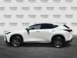 2025 LEXUS NX 350h Premium SUV