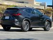 2025 LEXUS NX 250 Premium SUV