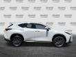 2024 LEXUS NX 350 SUV
