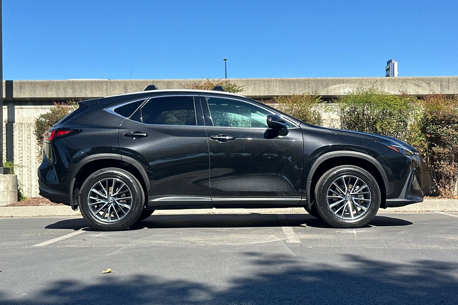 Used 2025 Lexus NX 250 Premium SUV