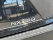 2024 LEXUS NX 250 SUV