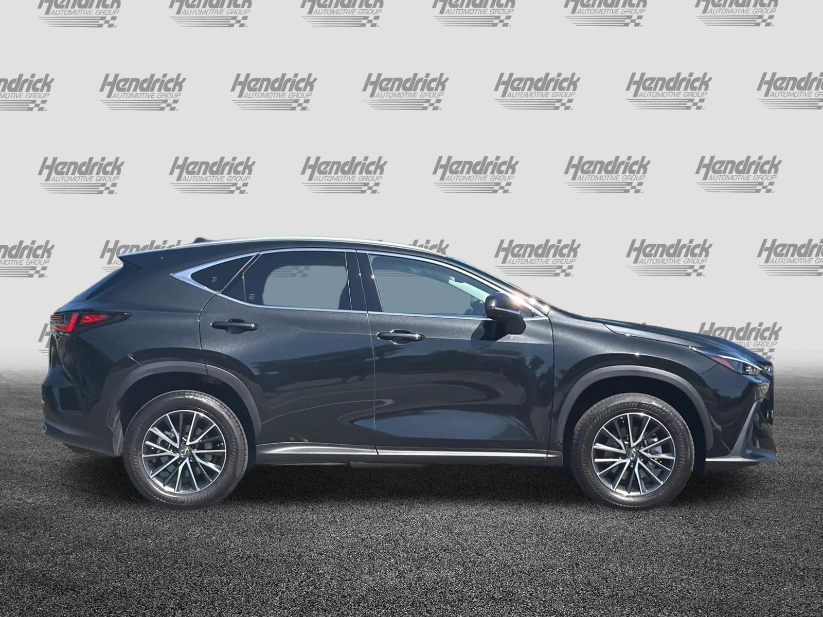 2024 LEXUS NX 350h 350h Premium photo 2