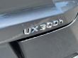 2025 LEXUS UX 300h 300h SUV