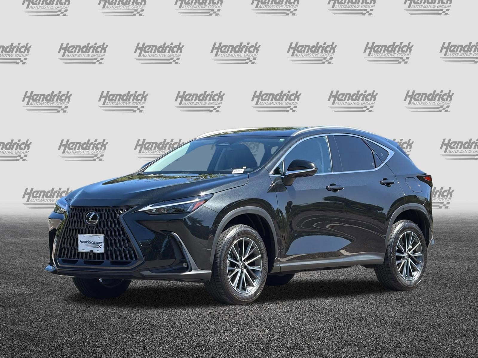 2024 LEXUS NX 350h 350h Premium photo 3