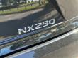 2025 LEXUS NX 250 Premium SUV