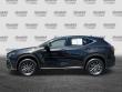 2024 LEXUS NX 350h SUV