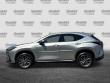 2024 LEXUS NX 250 250 Premium SUV