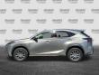 2019 LEXUS NX 300h SUV