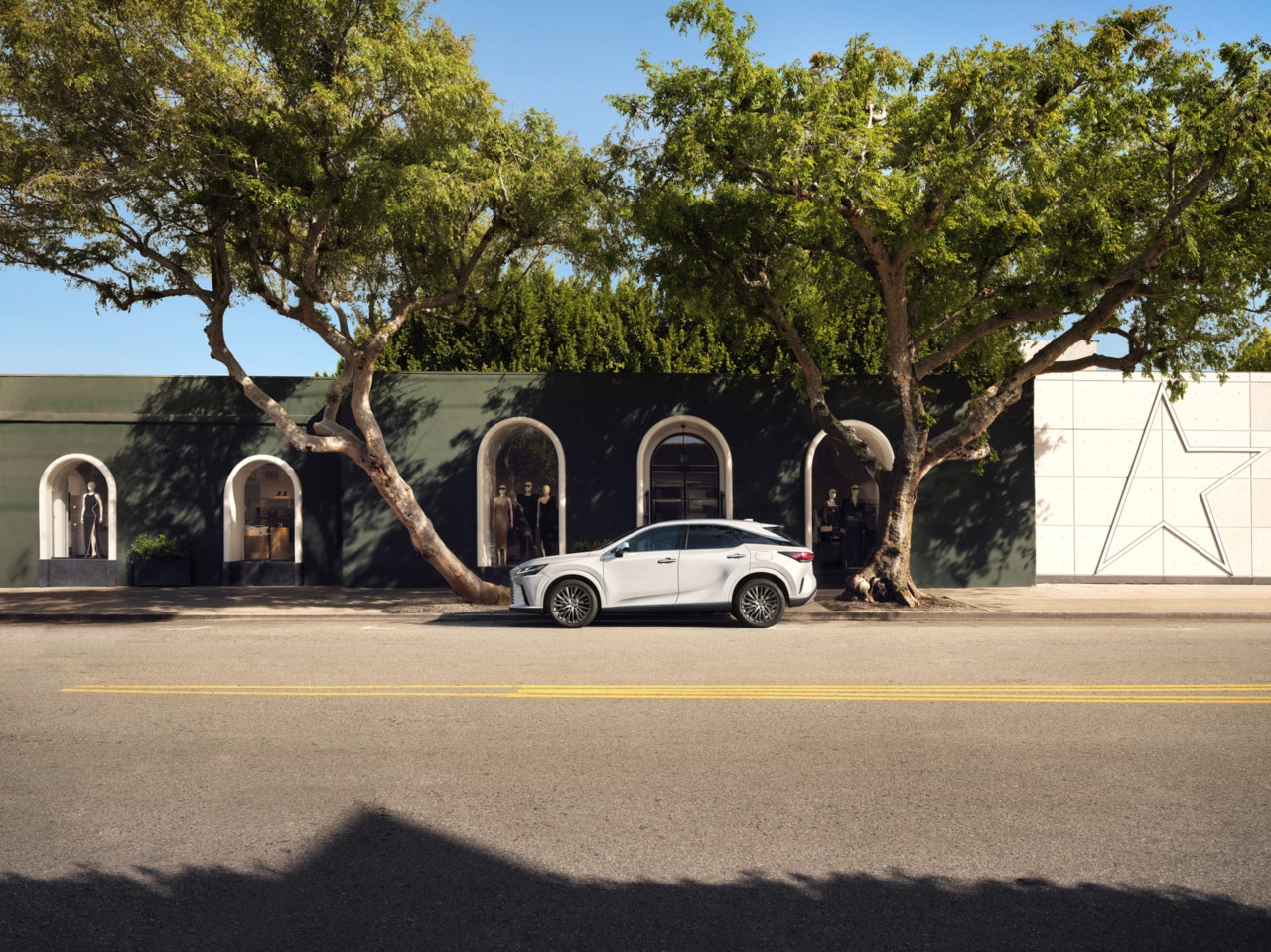 Lexus RX Hybrid Profile View