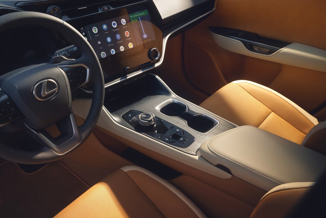 2026 Lexus RZ Interior