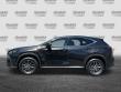 2024 LEXUS NX 250 SUV