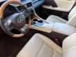 2020 LEXUS RX 350 SUV