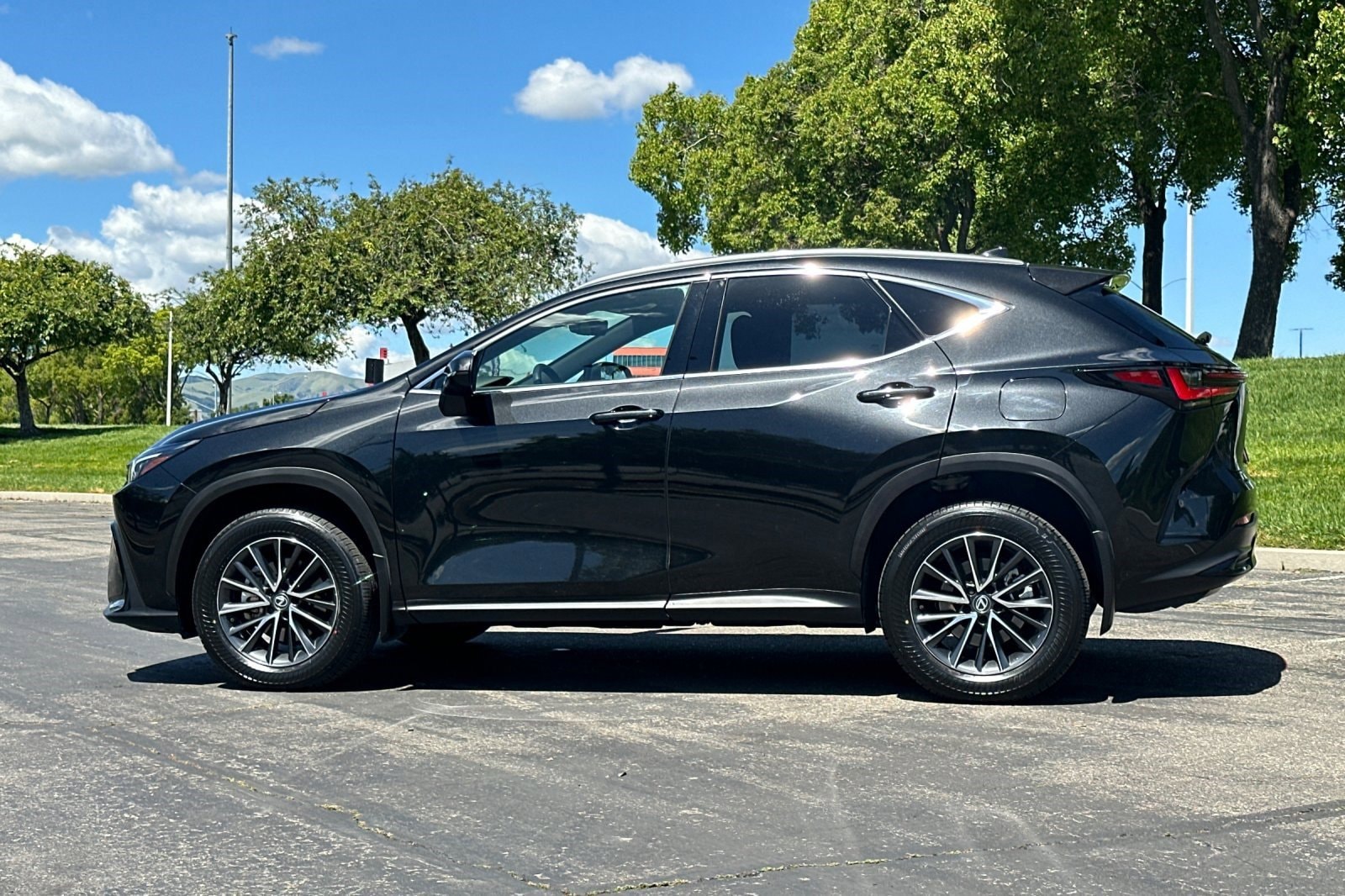 2022 LEXUS NX 350h photo 6