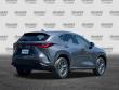 2024 LEXUS NX 350h 350h Premium SUV