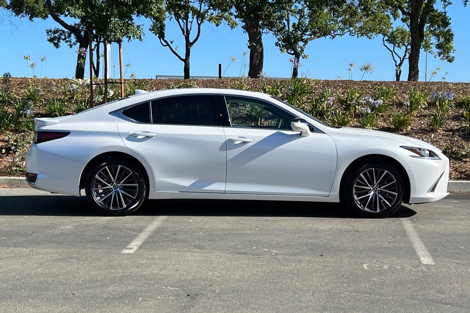 2025 Lexus ES 300h photo 4