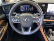 2024 LEXUS NX 250 SUV