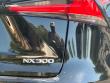 2019 LEXUS NX 300 F SPORT SUV