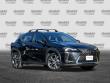 2025 LEXUS UX 300h 300h SUV