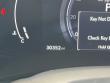 2024 LEXUS NX 350h Luxury SUV