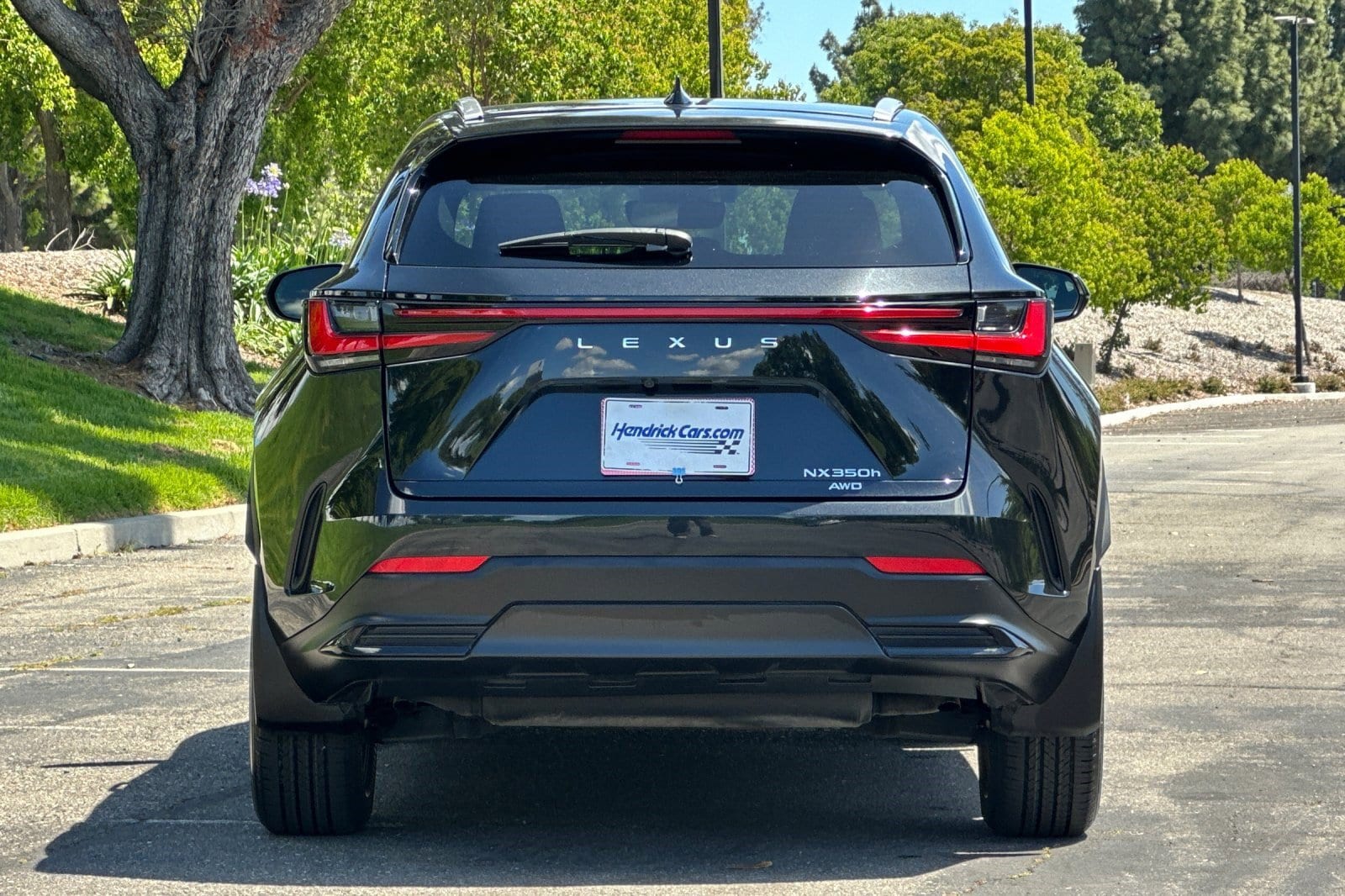 2022 LEXUS NX 350h photo 4