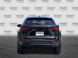 2024 LEXUS NX 350h SUV