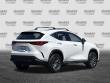 2025 LEXUS NX 350h 350h Premium SUV