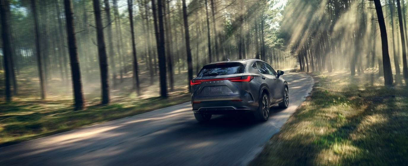 2025 Lexus NX Hybrid for sale in Pleasanton, CA